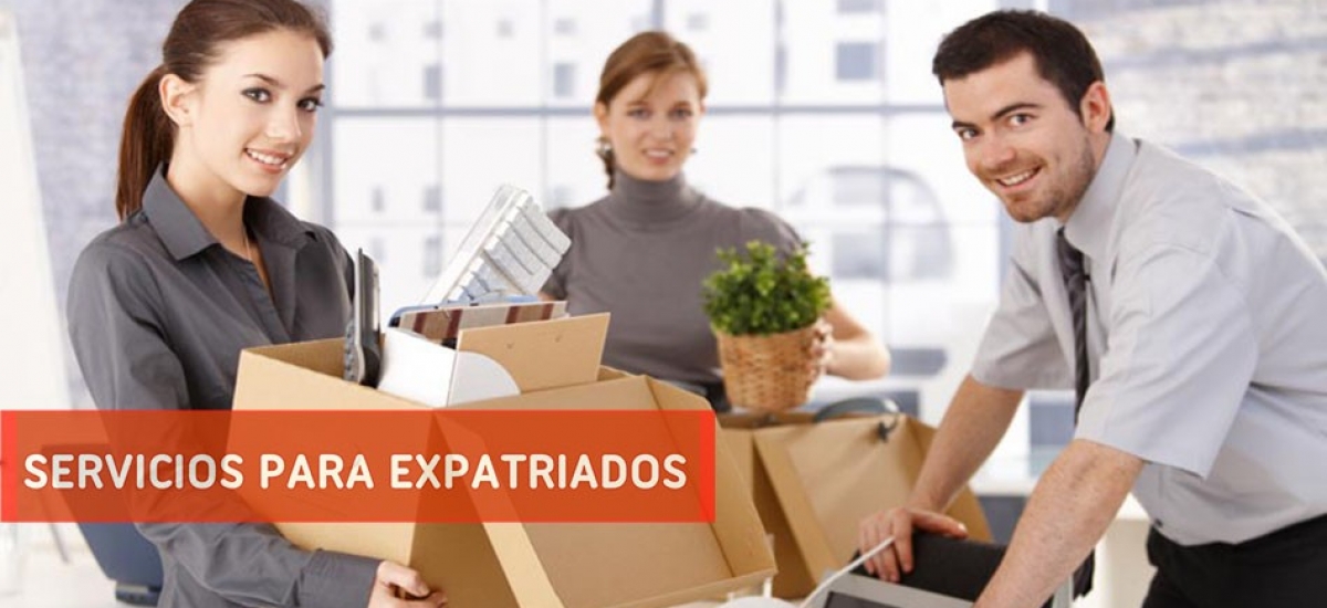Young office workers moving office